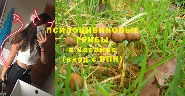 соль курить ск Вяземский