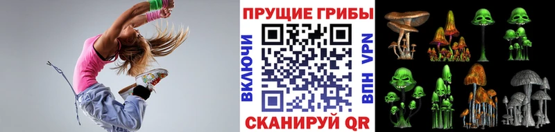 цена наркотик  Данилов  Галлюциногенные грибы Psilocybine cubensis 